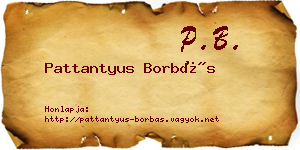 Pattantyus Borbás névjegykártya